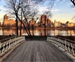 NY bridge in cenrtral park
